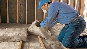 Best Garage Insulation  in Bridgman, MI